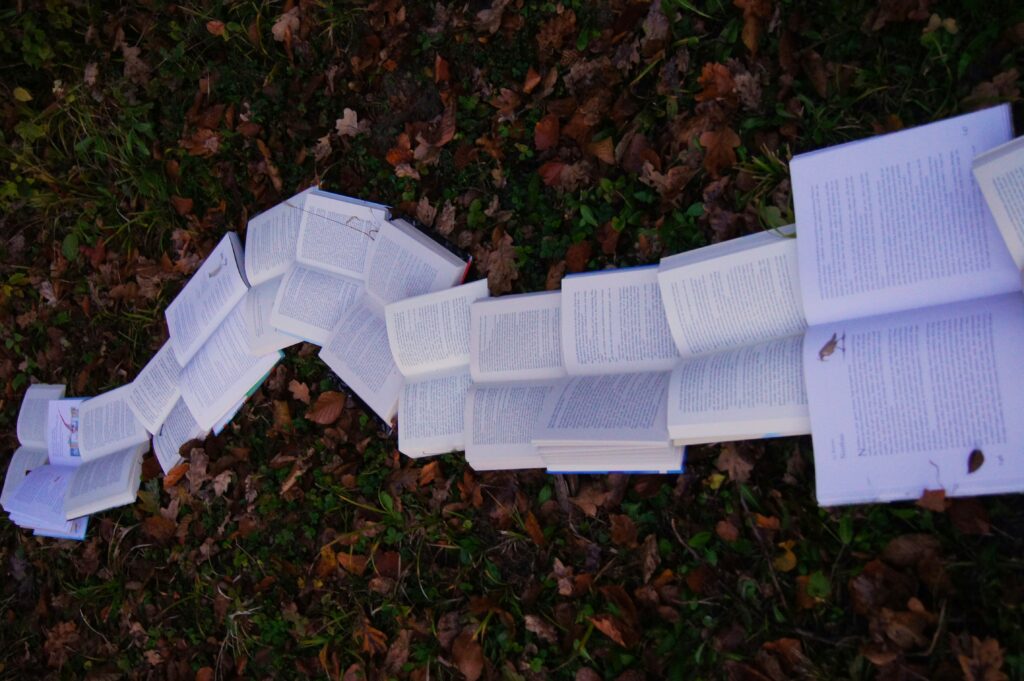 Multiple books opened on a bed of leaves