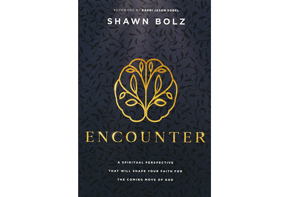 Front cover of Inksnatcher book project Encounter by Shawn Bolz