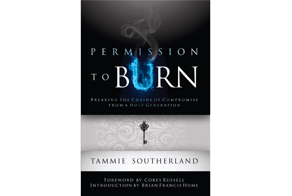 Front cover of Inksnatcher book project Permission to Burn by Tammie Southerland