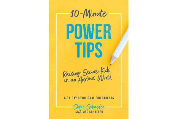 Front cover of Inksnatcher book project Ten Minute Power Tips by Sheri Schaefer
