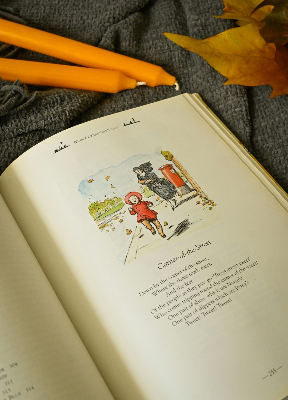 illustration in a children's book 