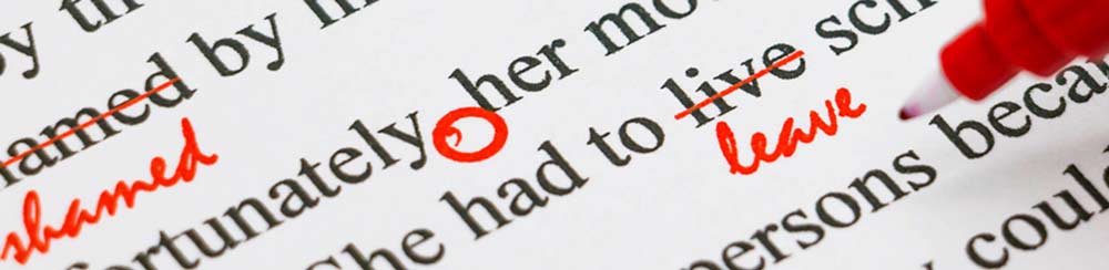 Inksnatcher book editing services menu